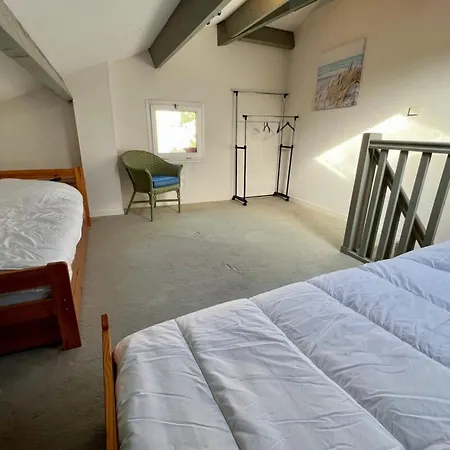 Baleines - Avec Rooftop Et Parking *