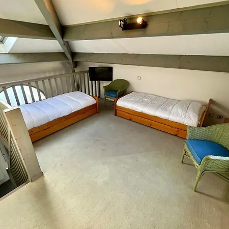 Baleines - Avec Rooftop Et Parking